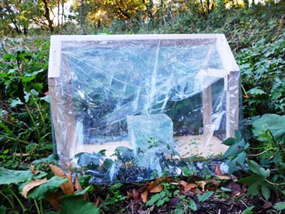 ビニールハウス