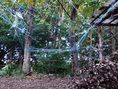 糸に流、継ぐ。