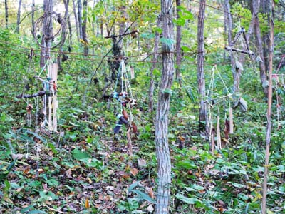 風の音楽会 ウィンドチャイム