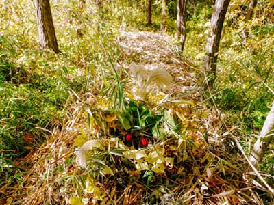 里山おむすびメグミちゃん ～循環する梨子ノ木緑地～